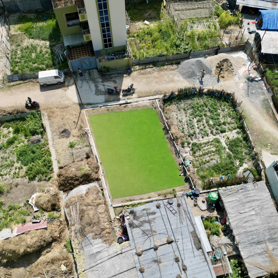 Picture of Tarkeshwor Municipality, Bagmati